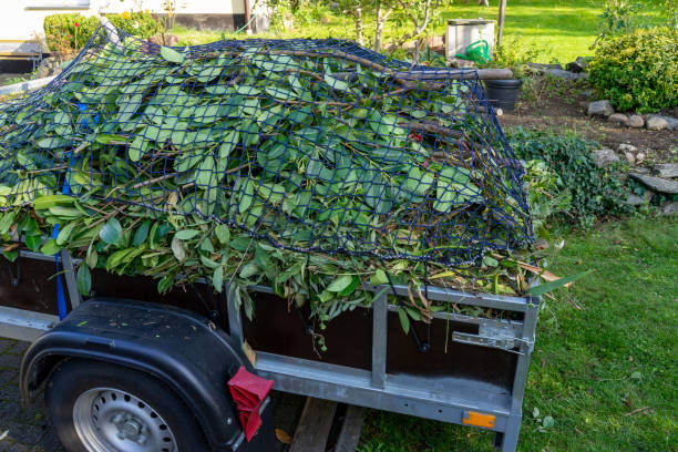Best Recycling Services for Junk  in Lewistown, MT